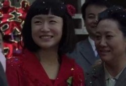 小麦进城全集在线观看,都市梦想与乡村情怀的交织之旅